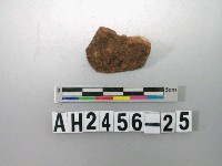 藏品(紅色粗砂素面陶片)的圖片